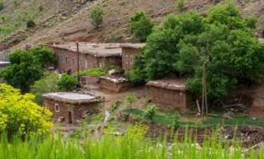 Scenic view of traditional mud brick homes surrounded by greenery in rural Morocco.
