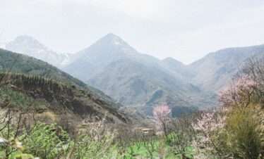 Picturesque scenery of green valley with trees and bushes in haze of bright sunlight